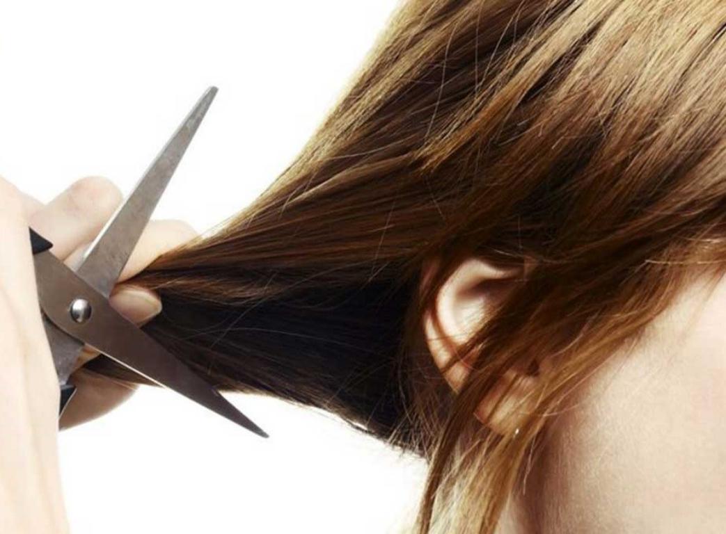 آموزشگاه کوتاهی مو